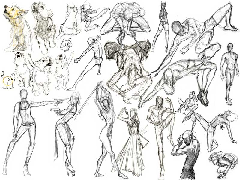 20110225