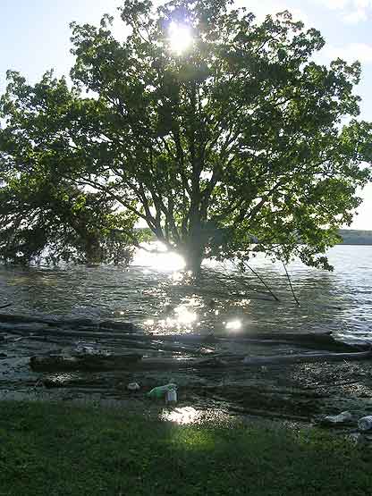 20110428