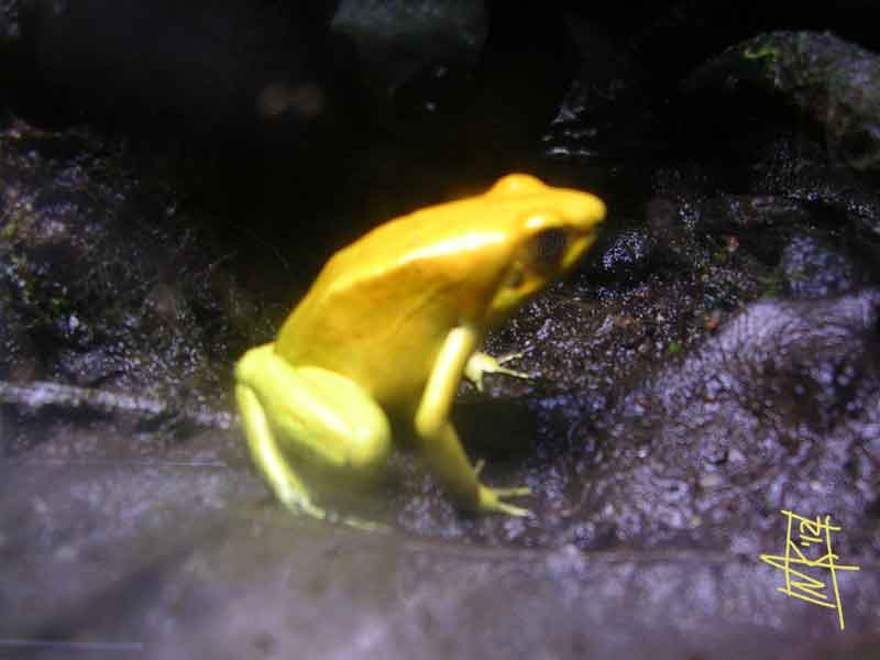 20120218